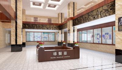 乐山中医院大厅大厅文化